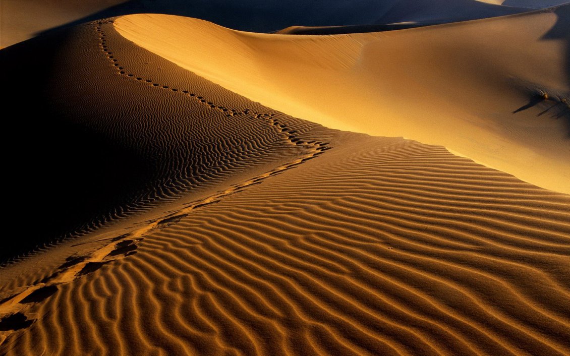 Download Wallpaper Footprints in the sand hills in desert