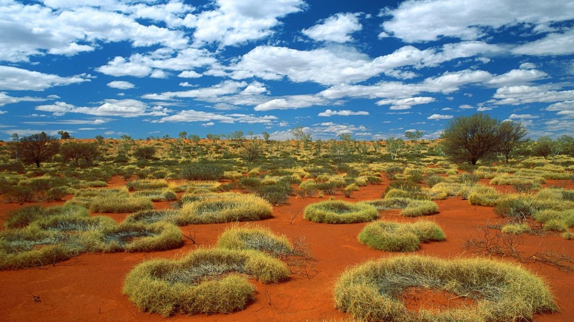 Download Wallpaper Small rings of green grass in desert Australia
