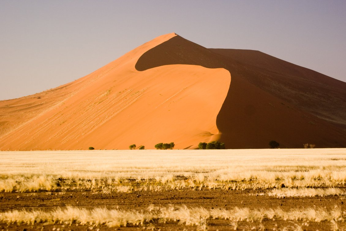 Download Wallpaper Sand dunes in the desert Namib