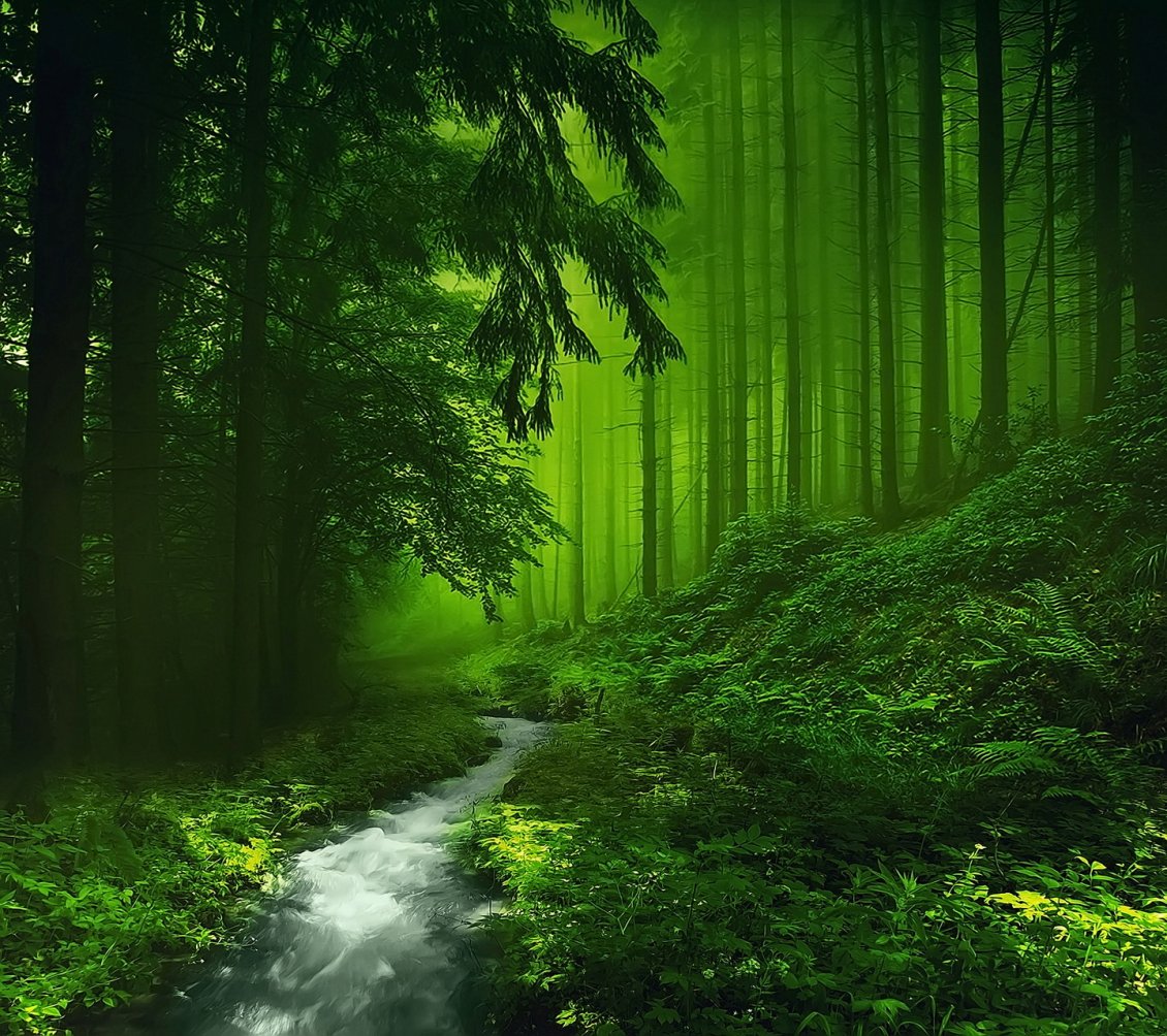 Download Wallpaper A clear river in the green forest - Fantasy place