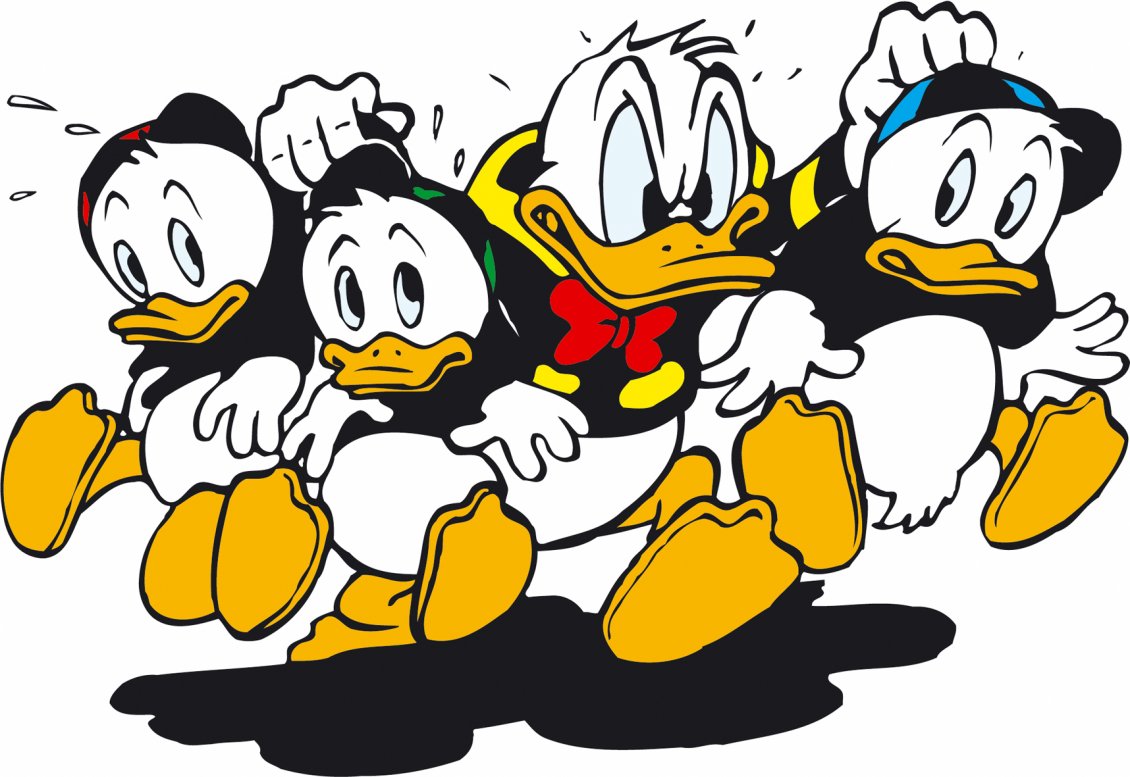Download Wallpaper Donald Duck and Tick, Trick and Track