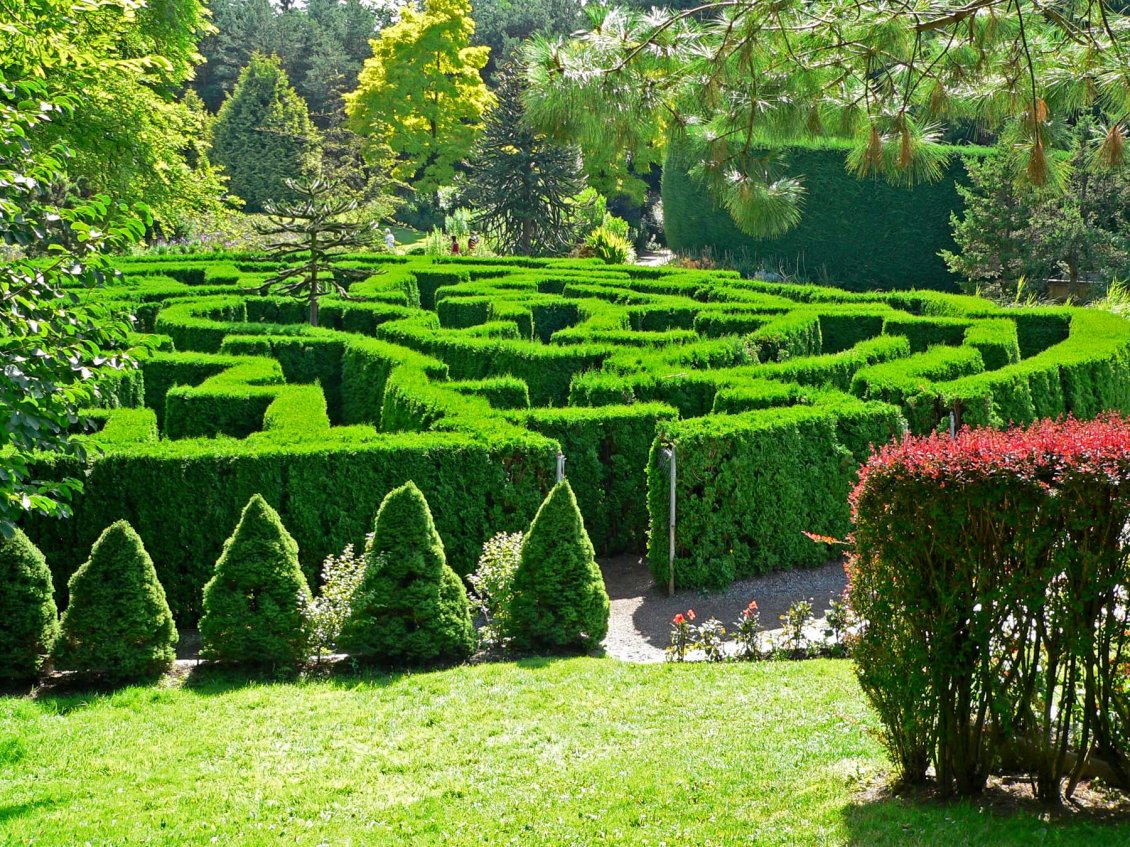 Download Wallpaper Botanical Garden - Green maze in the garden