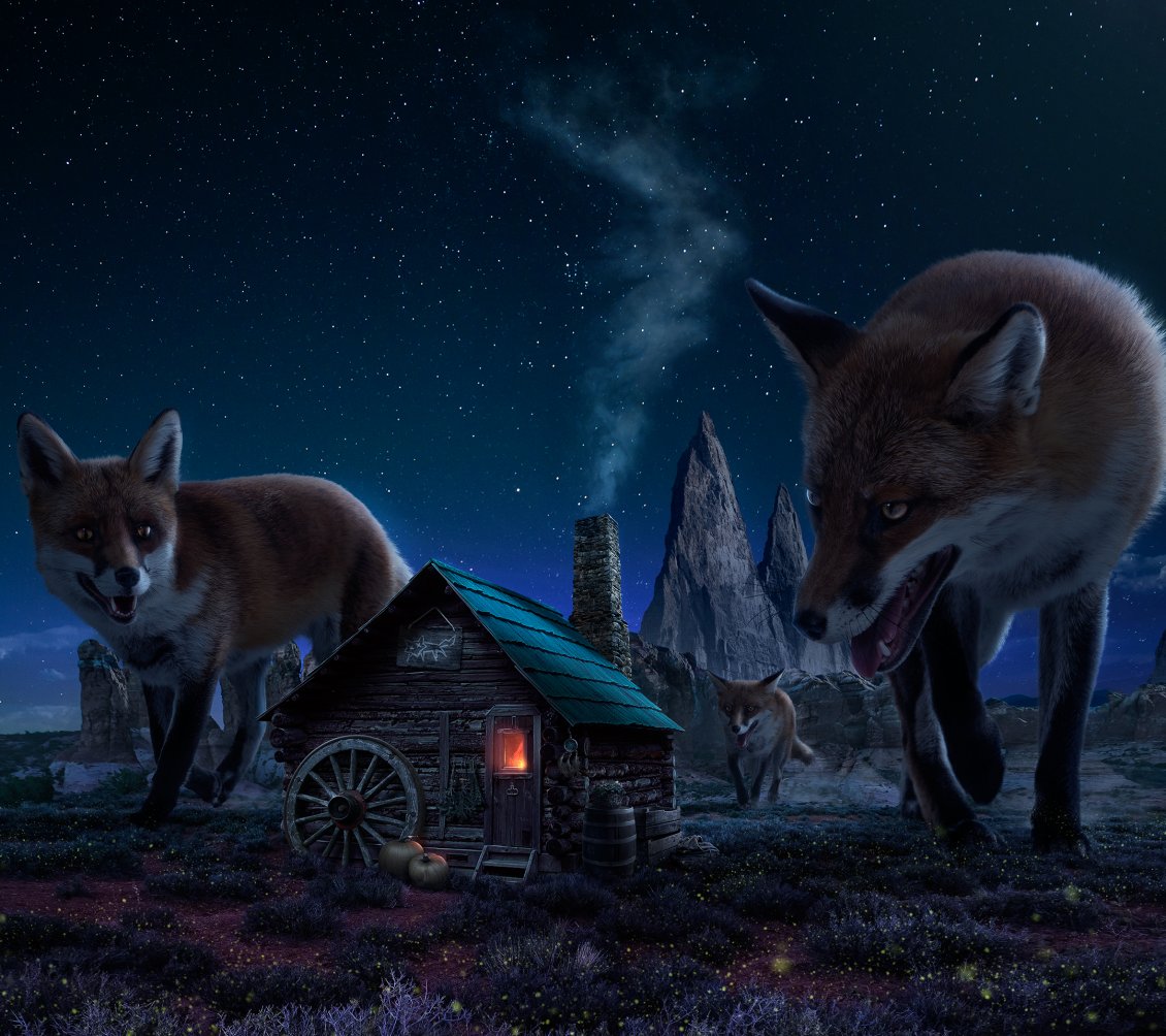 Download Wallpaper Big foxes in the night under the moonlight - Fantastic image