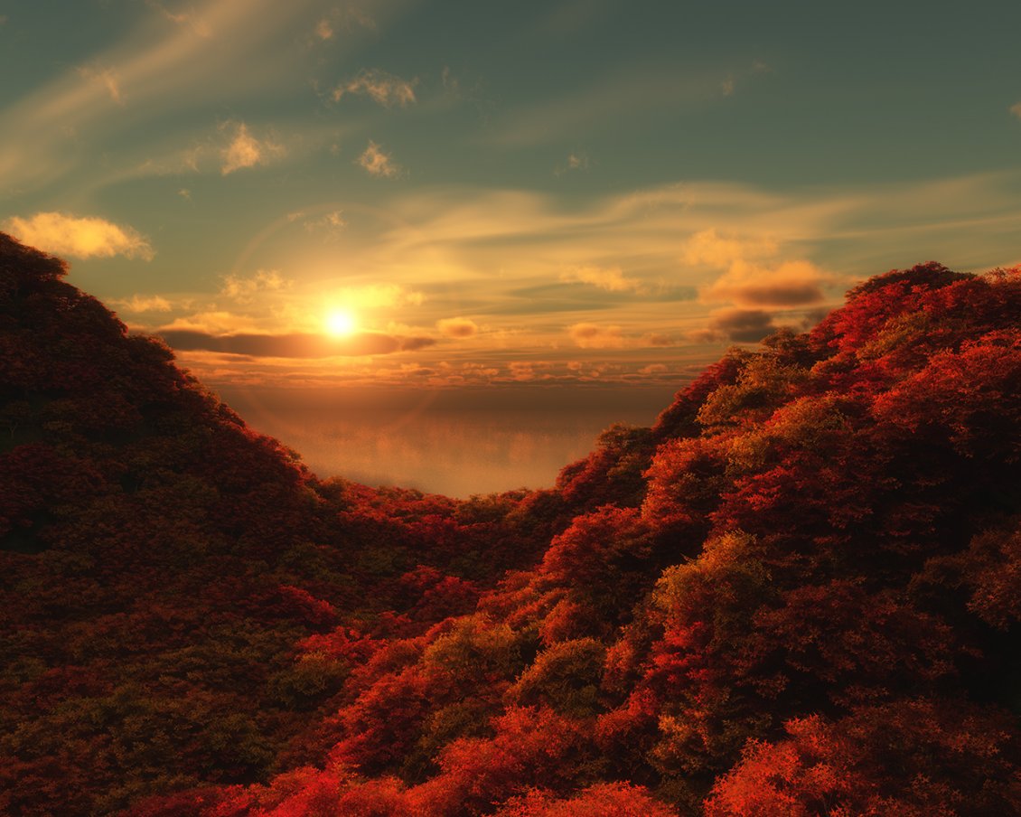 Download Wallpaper Red trees in the forests of mountains - Morning colors