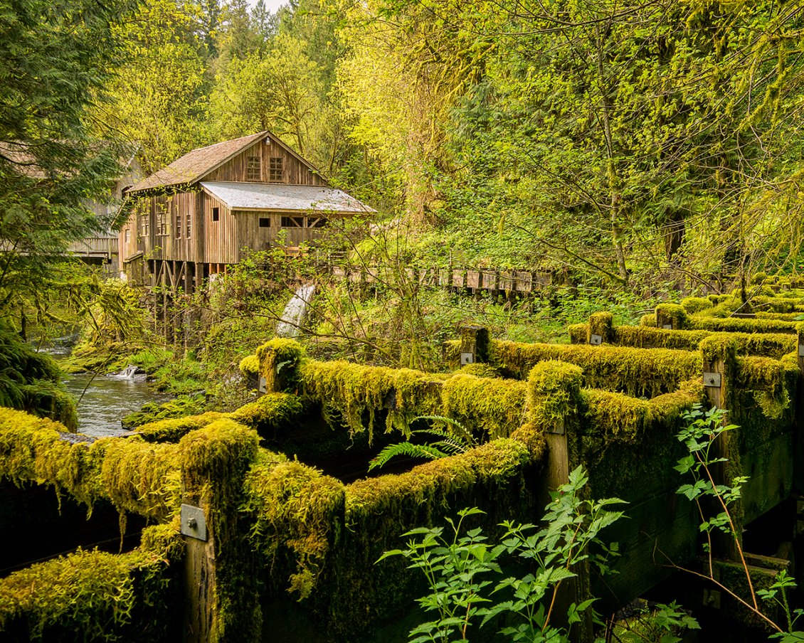 Download Wallpaper River, bridge and house in the green forest