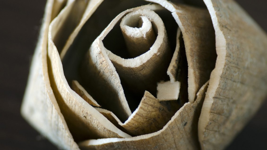 Download Wallpaper A rose made of wood  - Interesting flower