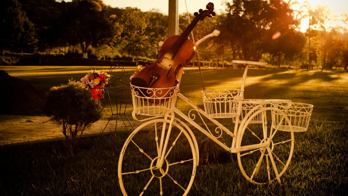Download Wallpaper White bicycle with a violin in the basket on the grass