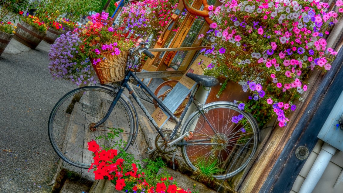 Download Wallpaper Many beautiful and colorful flowers in a basket of bicycle