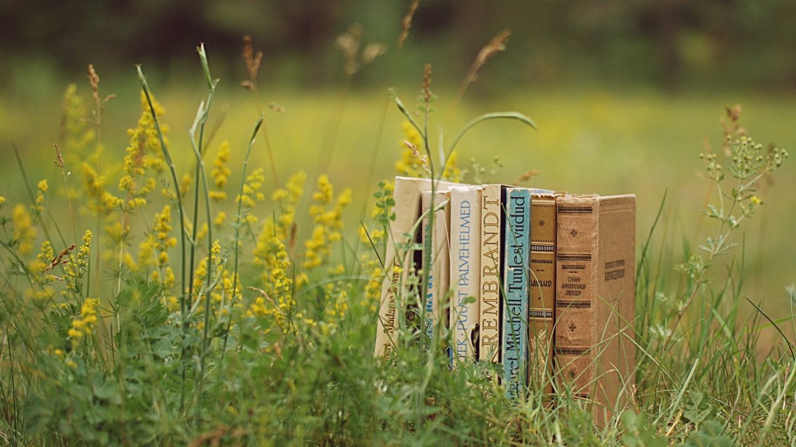Download Wallpaper Many old books in the green grass