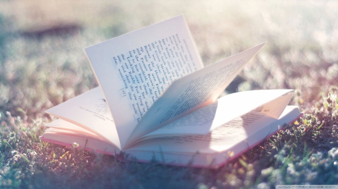 Download Wallpaper A opened book in the sunlight in the grass