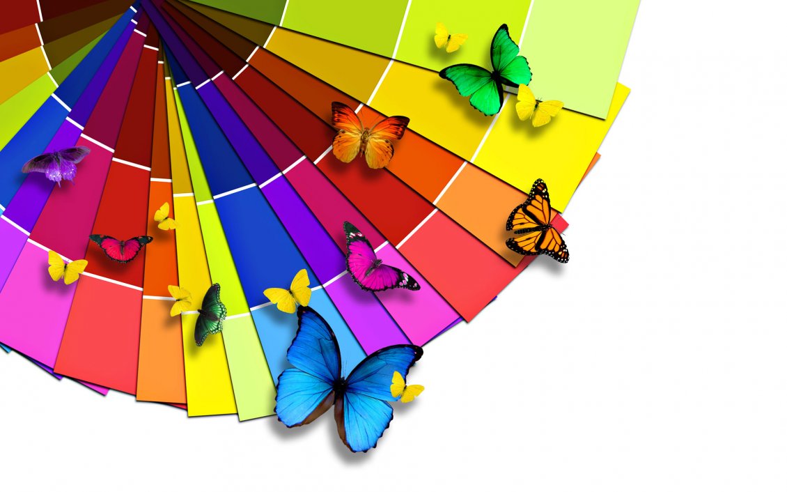 Download Wallpaper Many colorful butterflies on the colored blades