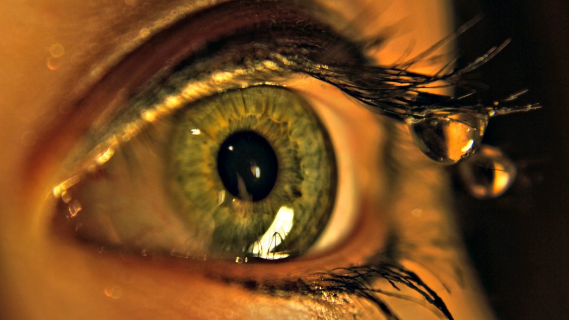 Download Wallpaper A drop of water on the green eye lashes