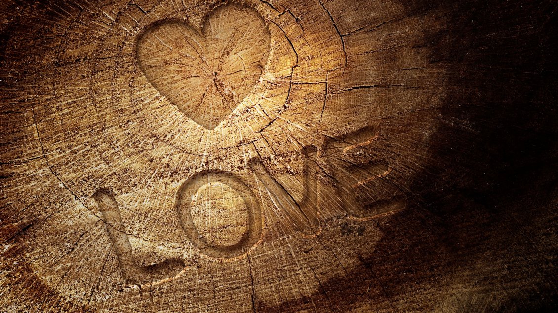 Download Wallpaper A heart and love letters carved in the wood