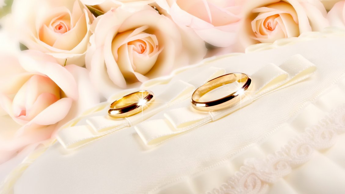 Download Wallpaper Golden rings near the pink roses - Wedding time