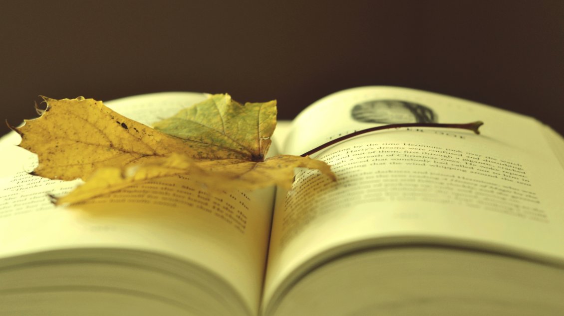 Download Wallpaper A yellowed leaf on the opened book