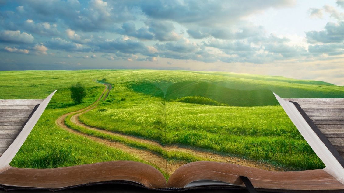 Download Wallpaper A path through the green grass - A green field in the book