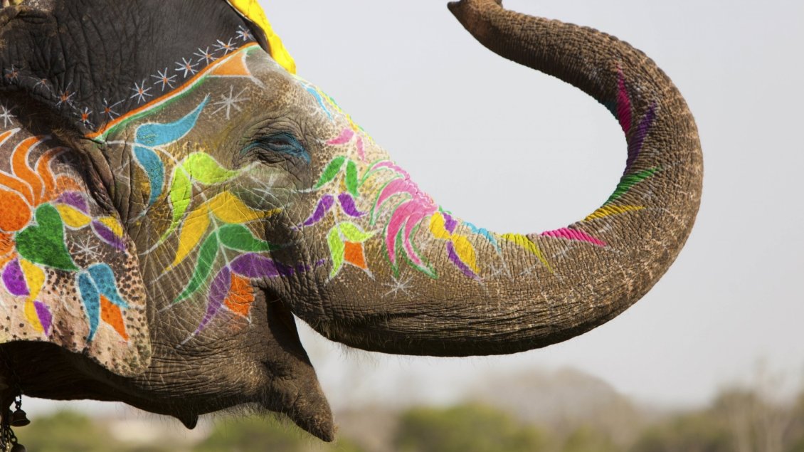 Download Wallpaper A painted elephant - Animal festival