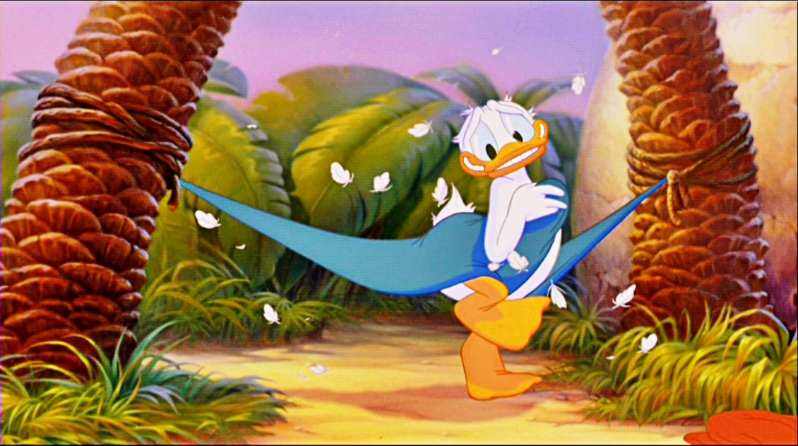 Download Wallpaper Donald Duck was left without clothes