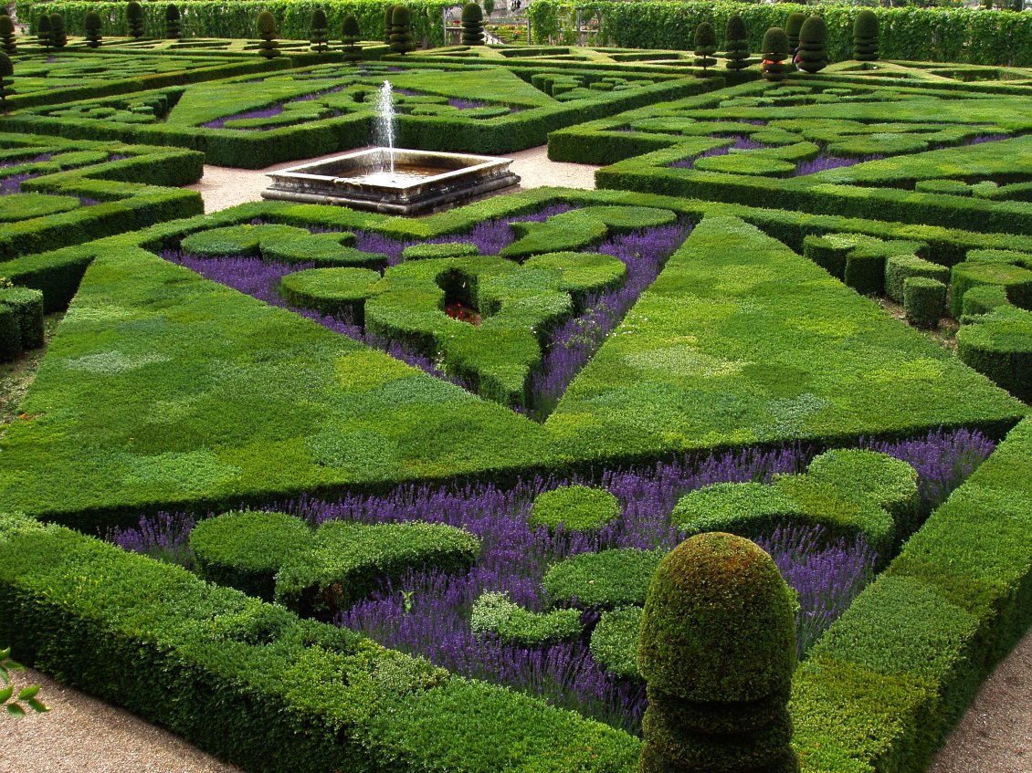 Download Wallpaper Green and purple garden with a fountain in the middle