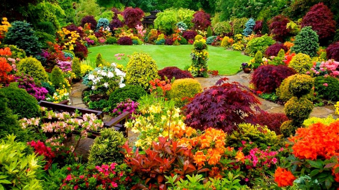 Download Wallpaper Beautiful backyard garden - Colorful garden