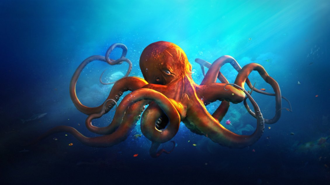 Download Wallpaper An orange octopus in blue sea water