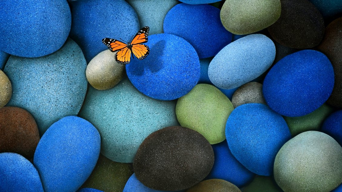 Download Wallpaper An orange butterfly flies over the colored stones