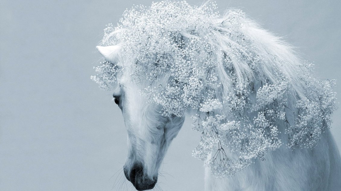 Download Wallpaper Fantasy white horse - Fantastic horse hair