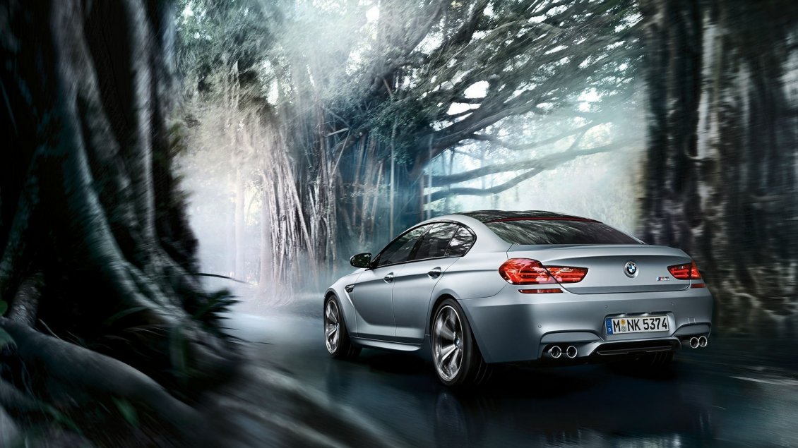 Download Wallpaper Beautiful BMW M6 Gran Coupe in a forest