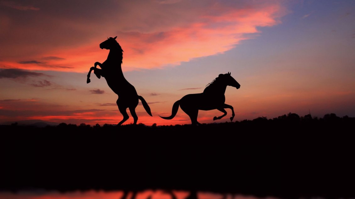 Download Wallpaper Two horses in the shade in sunset
