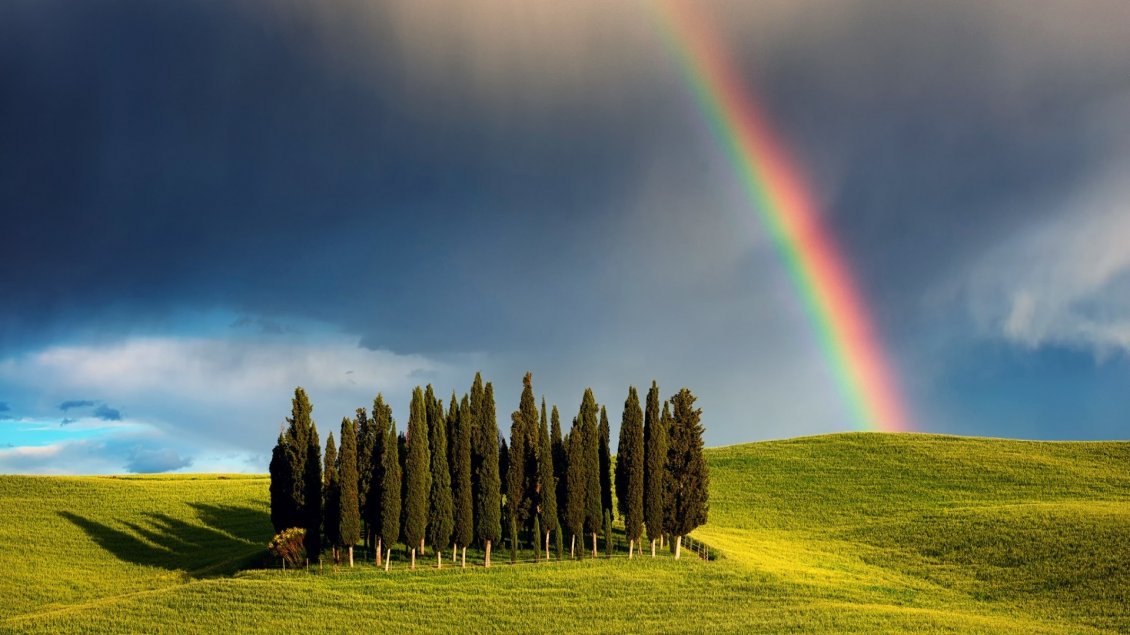 Download Wallpaper Rainbow over the few trees on hill