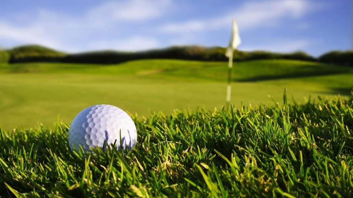 Download Wallpaper White golf ball in the green grass