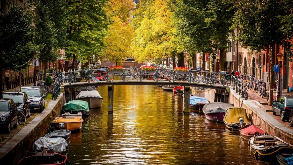 Download Wallpaper Amsterdam Canal - Many boats on water