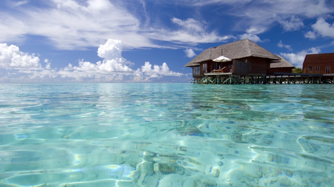 Download Wallpaper Luxury Maldives Resort - Clean water in sea