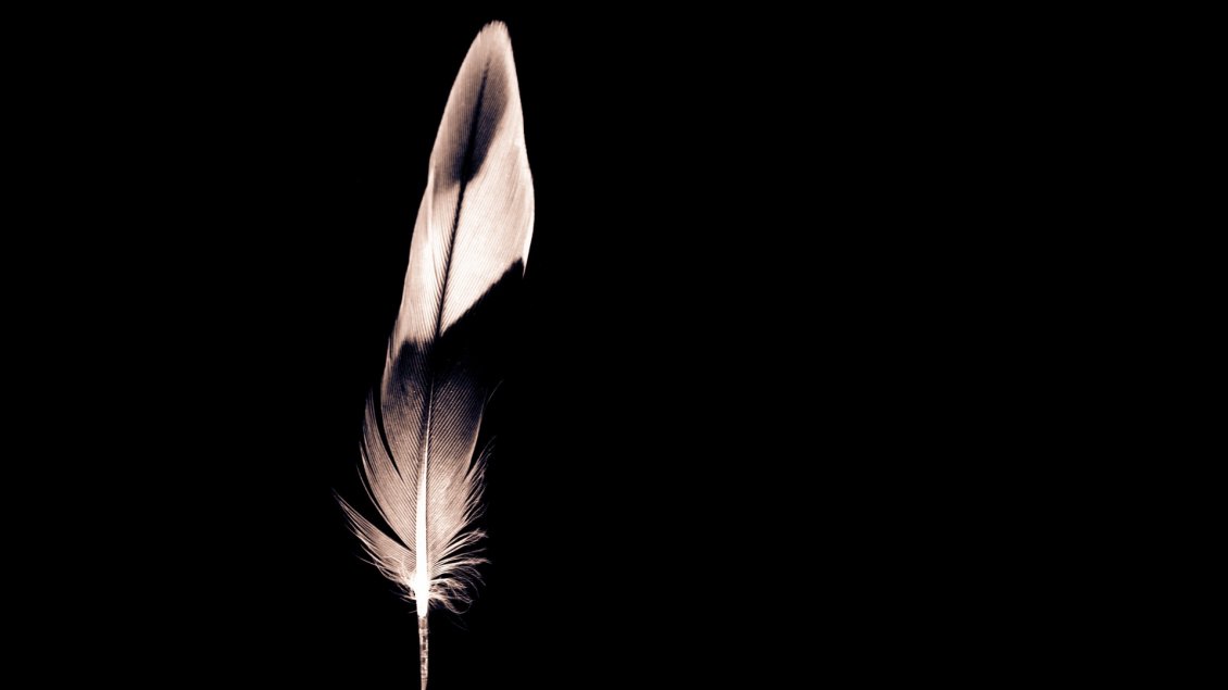 Download Wallpaper Black and white feather - Minimalist wallpaper