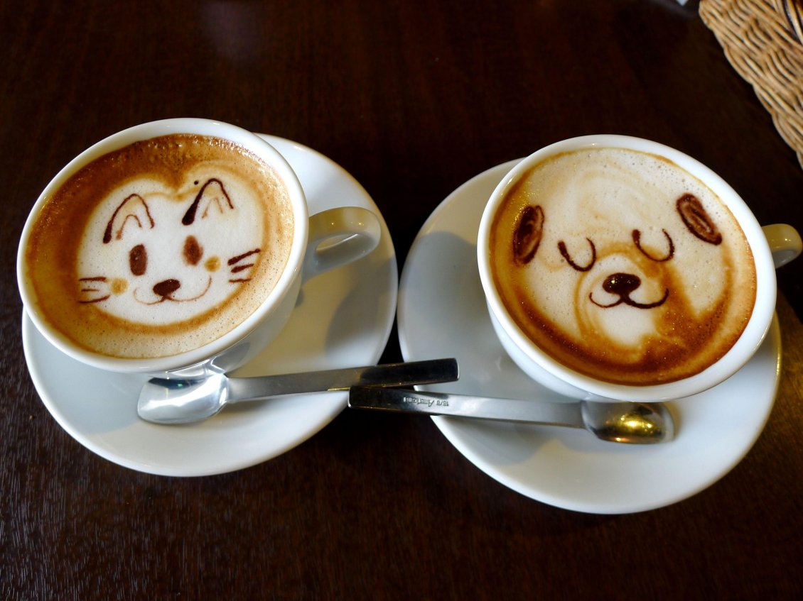 Download Wallpaper Funny coffee with dog and cat face