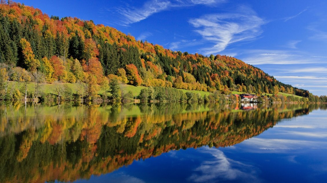 Download Wallpaper Bavaria forest reflected in water - Landscape wallpaper