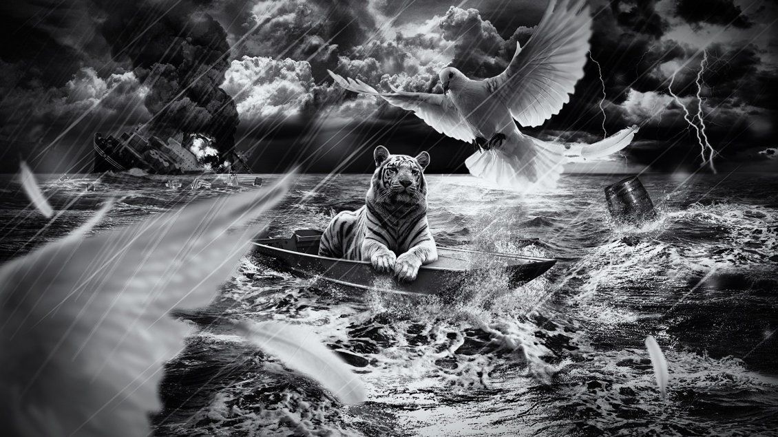 Download Wallpaper A tiger in a boat at sea and birds flying