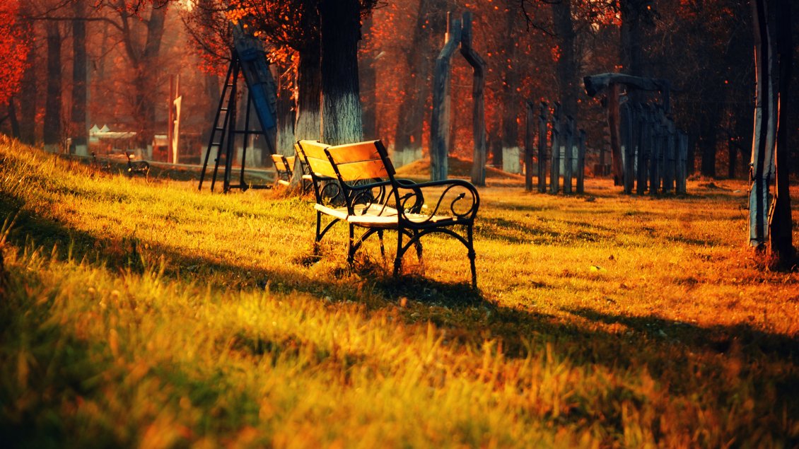 Download Wallpaper Autumn sun in the park - beautiful moments