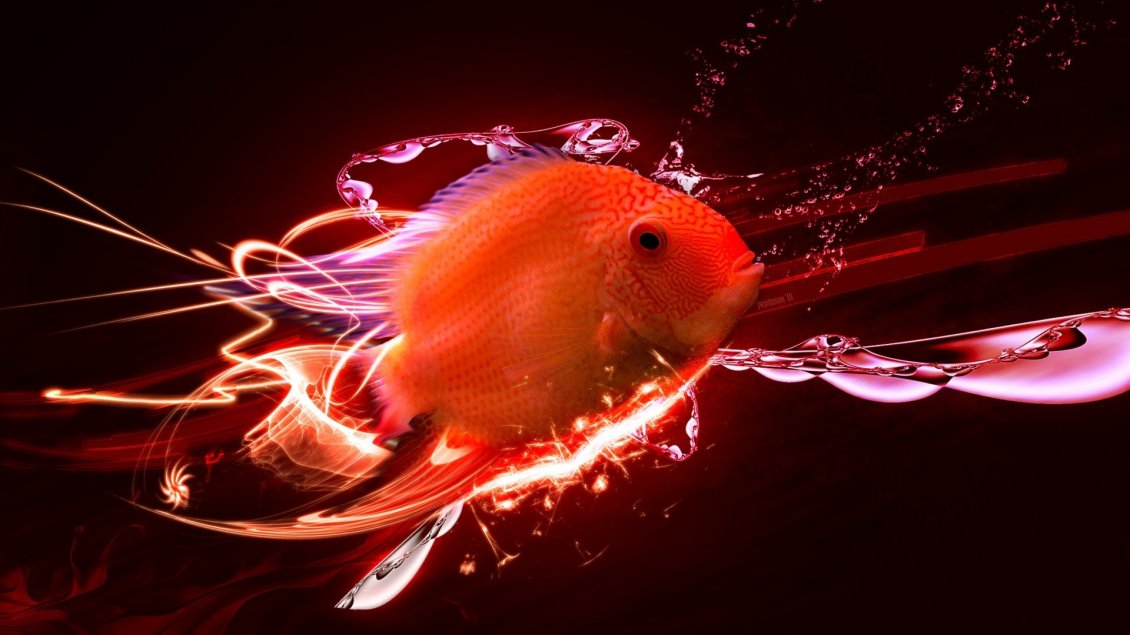 Download Wallpaper Abstract red fish in a HD wallpaper