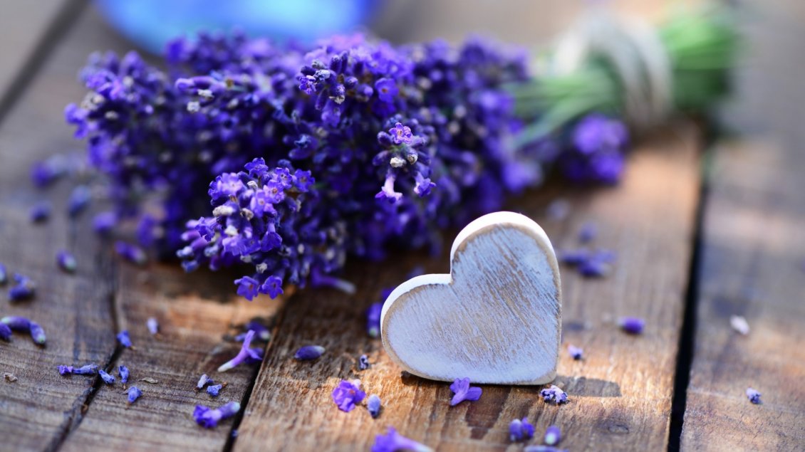 Download Wallpaper Purple lavender and a white heart made of wood