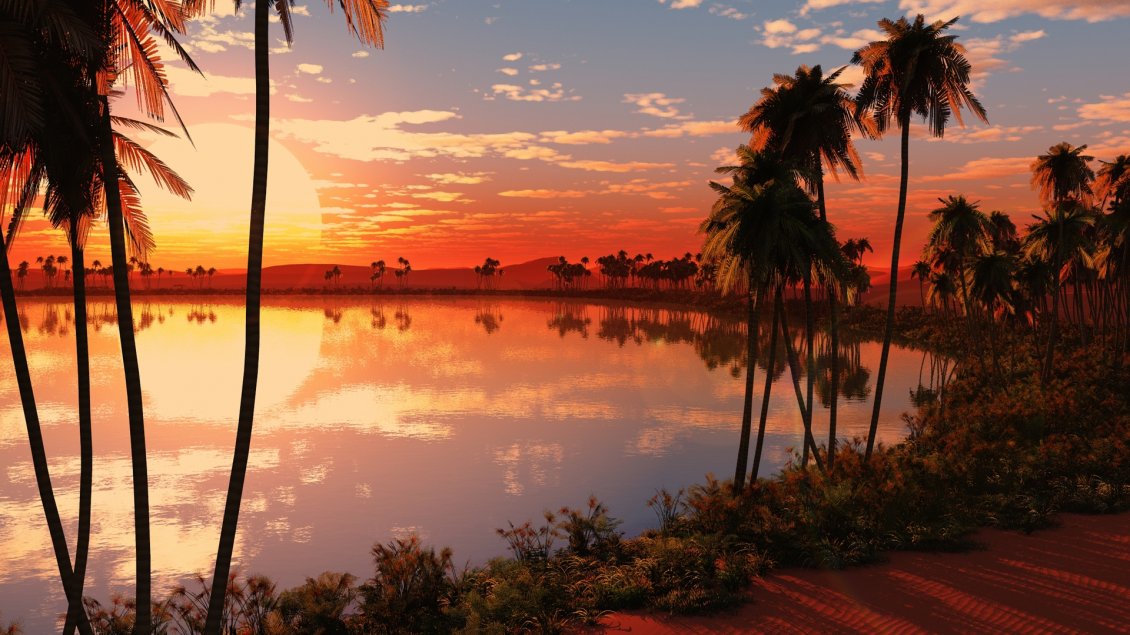 Download Wallpaper Palms around the lake - Amazing sunset landscape