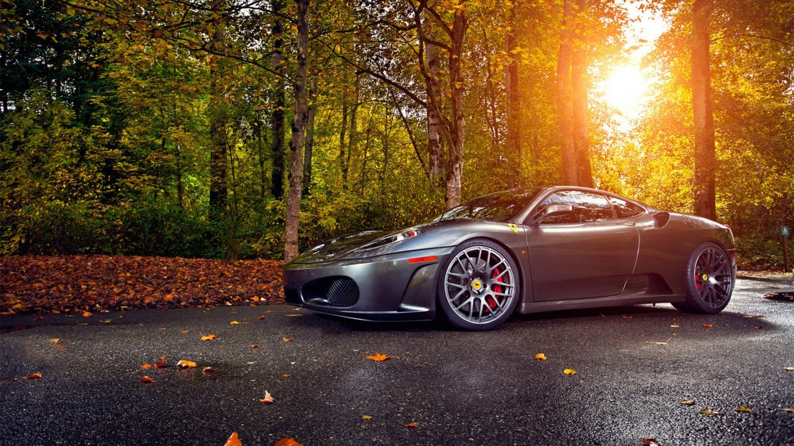 Download Wallpaper Gorgeous gray Ferrari on road in the forest
