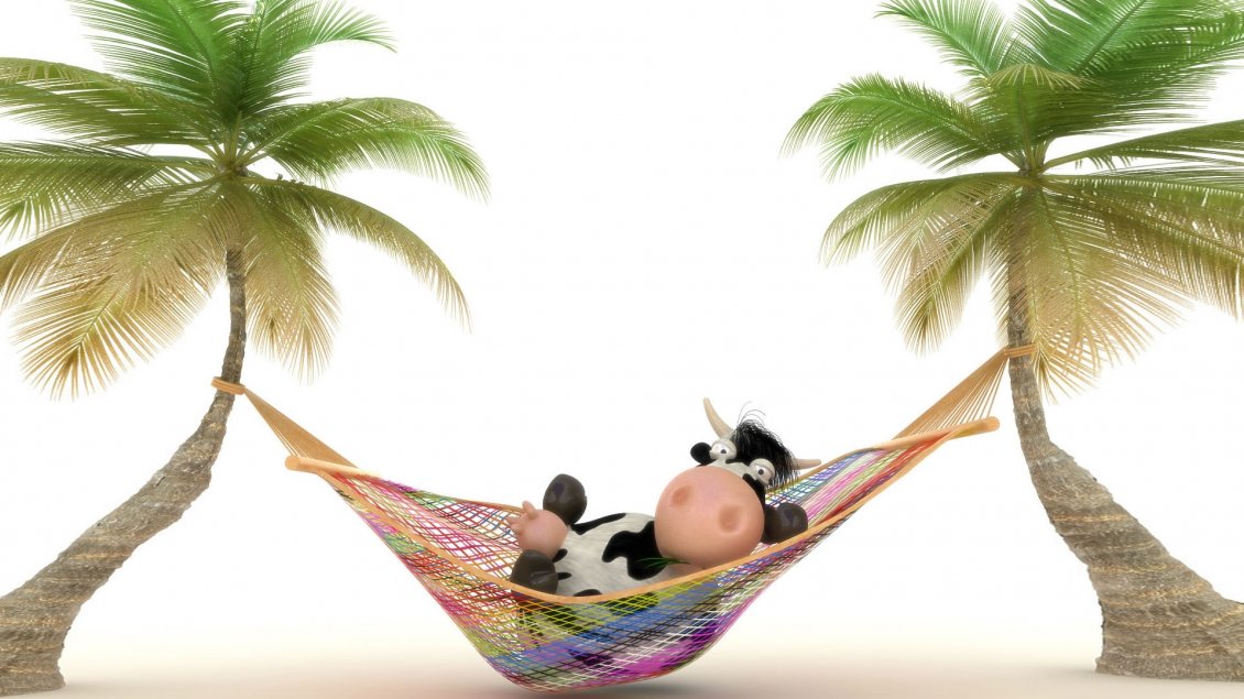 Download Wallpaper A cow relaxing in a colorful hammock