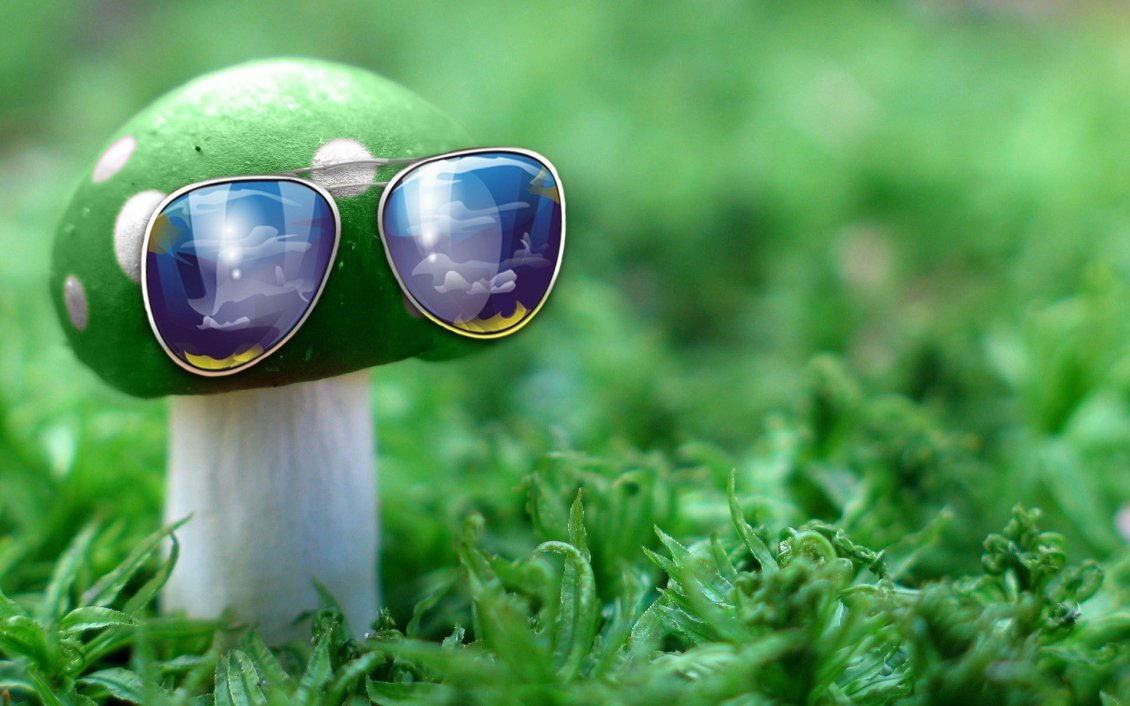 Download Wallpaper Funny green mushroom wear sunglasses