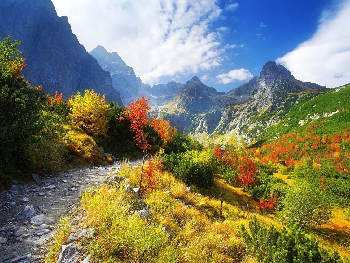Download Wallpaper Mountain path - sunny autumn day
