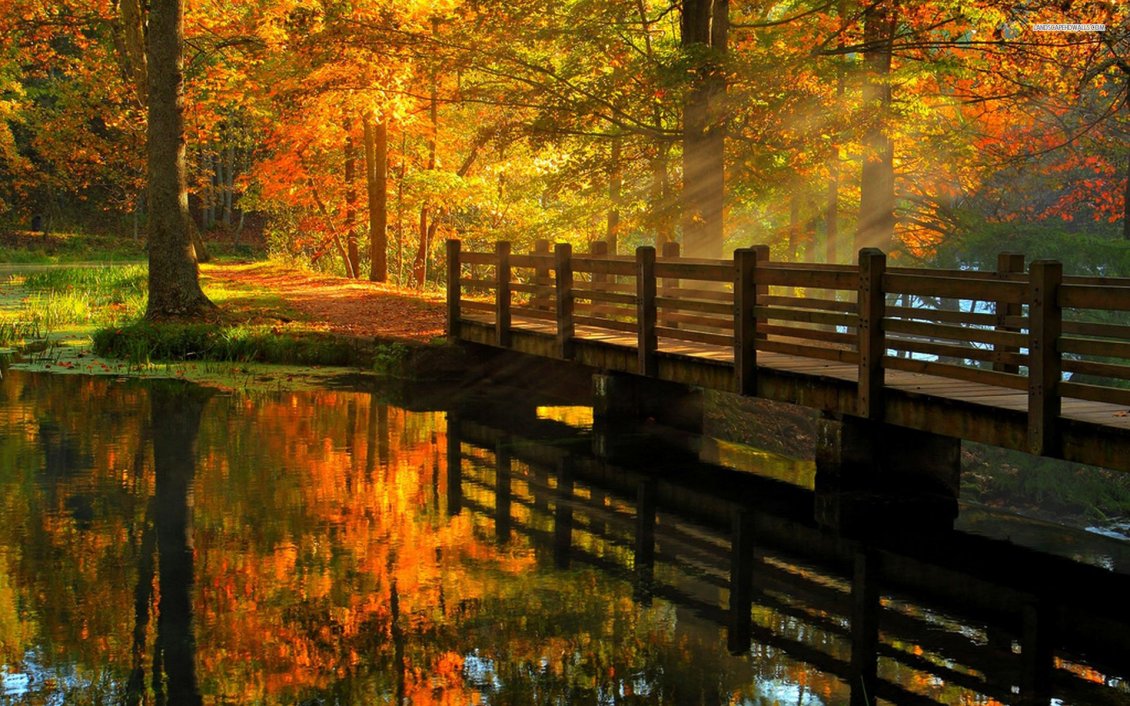 Download Wallpaper Wooden bridge over the river - beautiful autumn day