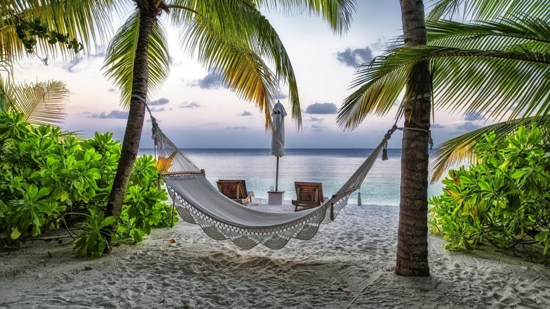 Download Wallpaper Relaxing corner on the beach between palms