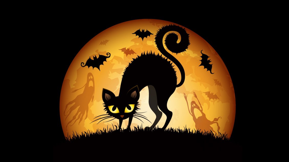 Download Wallpaper Black scary cat in the night of Halloween