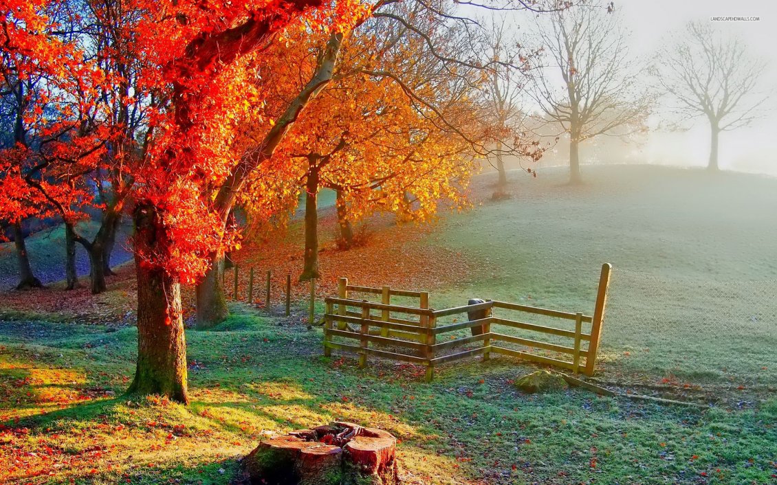 Download Wallpaper Beautiful Autumn painting - Sunlight on the field