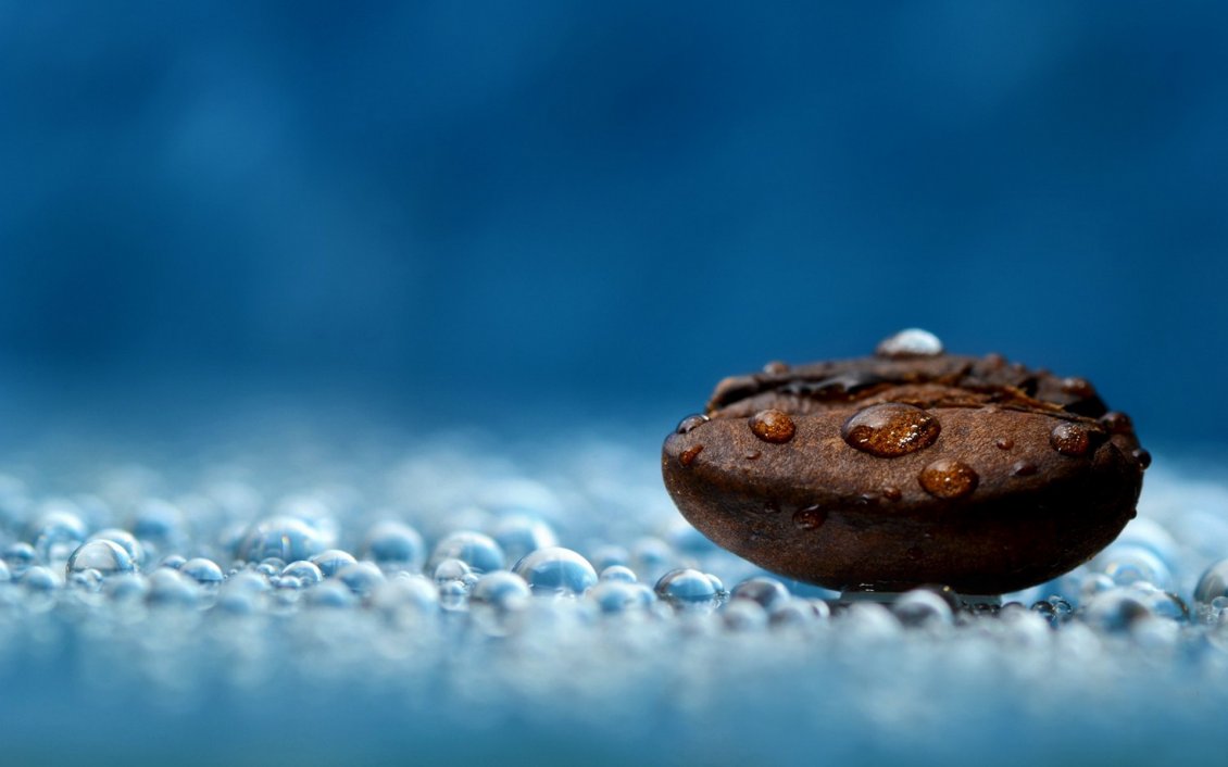Download Wallpaper Drops of water on a big coffee bean - HD wallpaper